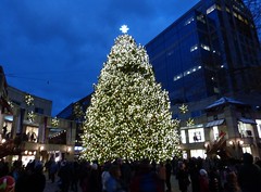 Quincy Market Christmas tree