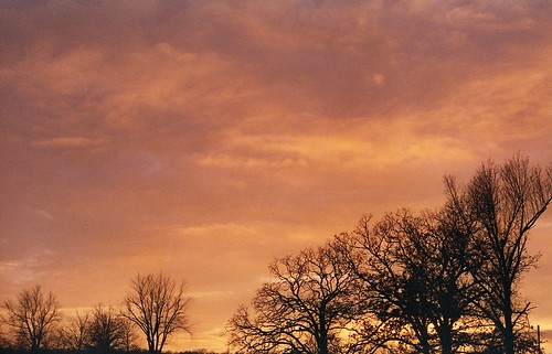 trees sunset film clouds 35mm canon ae1 missouri scanned