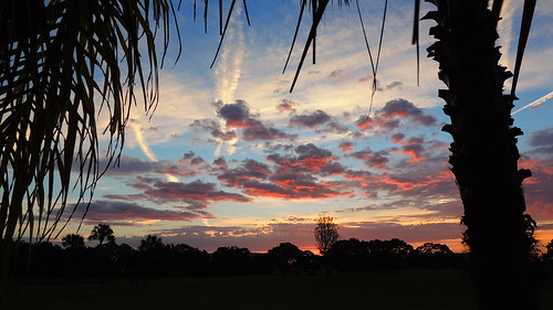 morning pink blue red wallpaper sky orange sun color tree weather silhouette yellow clouds sunrise landscape dawn nikon flickr purple florida palm tropical coolpix bradenton sunup p510 mullhaupt cloudsstormssunsetssunrises jimmullhaupt