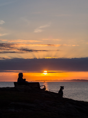 ocean november sunset dog sun haven silhouette mt connecticut shoreline ct olympus east crepuscular 2014 fav25 45mmf18 ep5