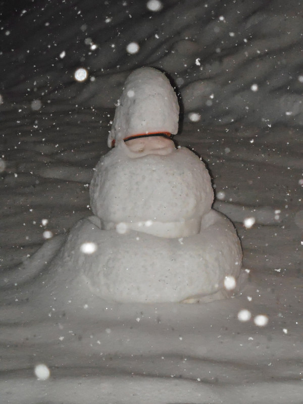 Post Christmas snow man