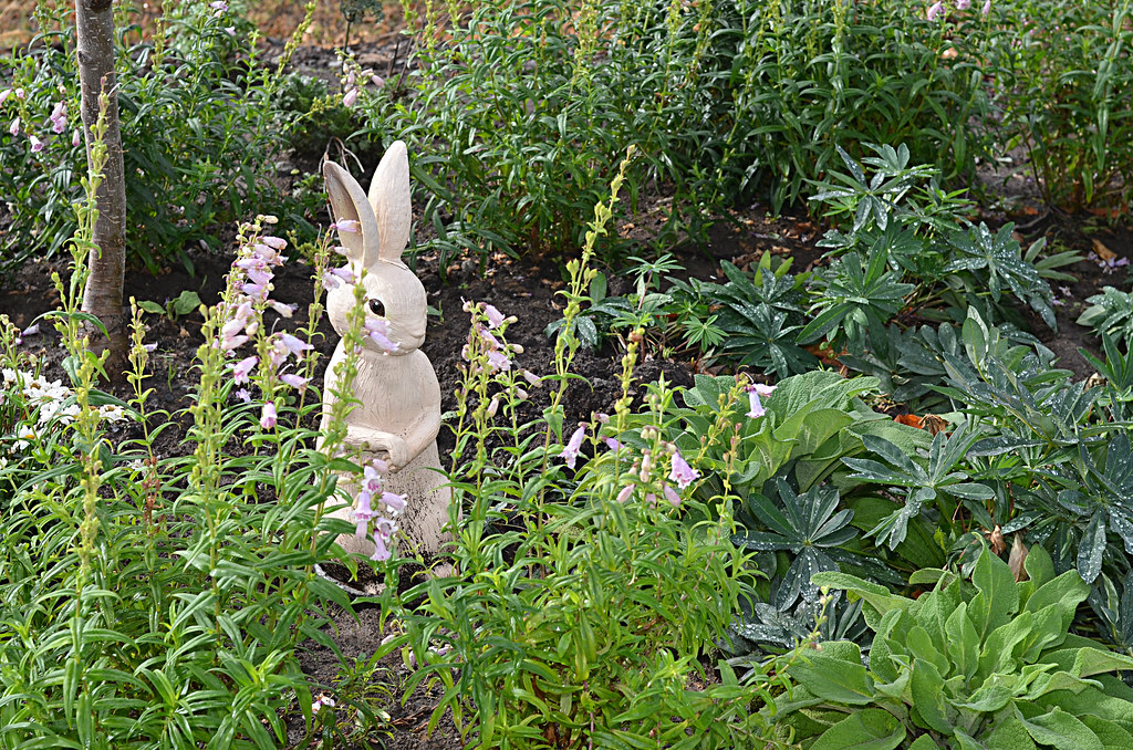 Peter Rabbit Garden figurine