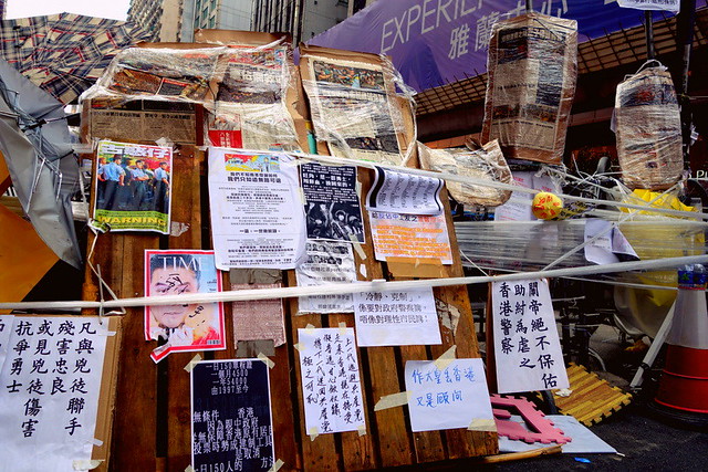 201410 HK Umbrella Movement (16)