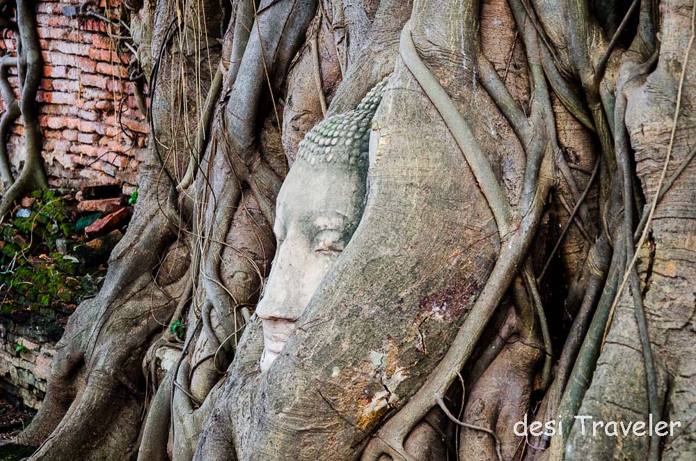 Buddha Head Tree root Wat Mahathat Temple Thailand
