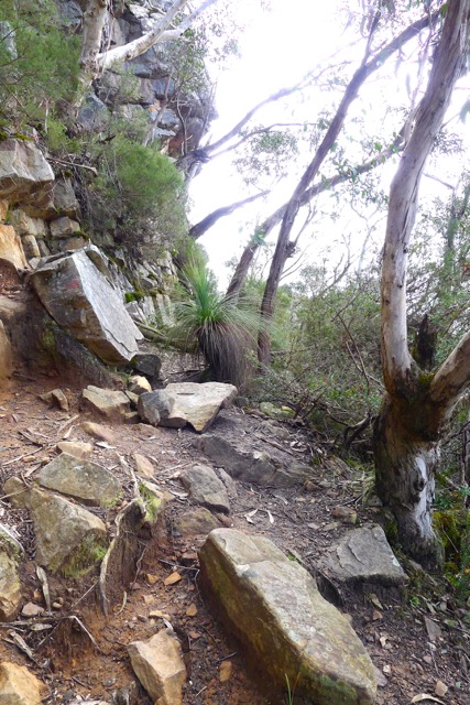 Don't brush past the grass tree, but follow the track left indicated by the fading red arrow on the rock