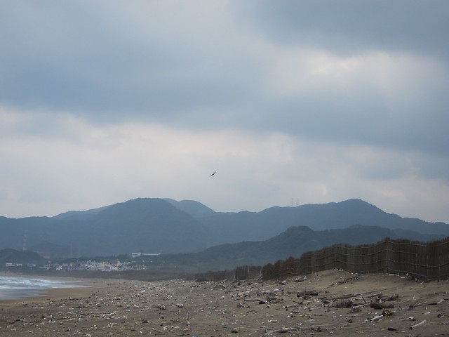大山大海與黑鳶，對照滿佈垃圾的沙灘顯得十分諷刺