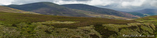 road uk landscape scotland europa europe aberdeenshire carretera unitedkingdom paisaje escocia reinounido luciojosemartinezgonzalez tornahaish