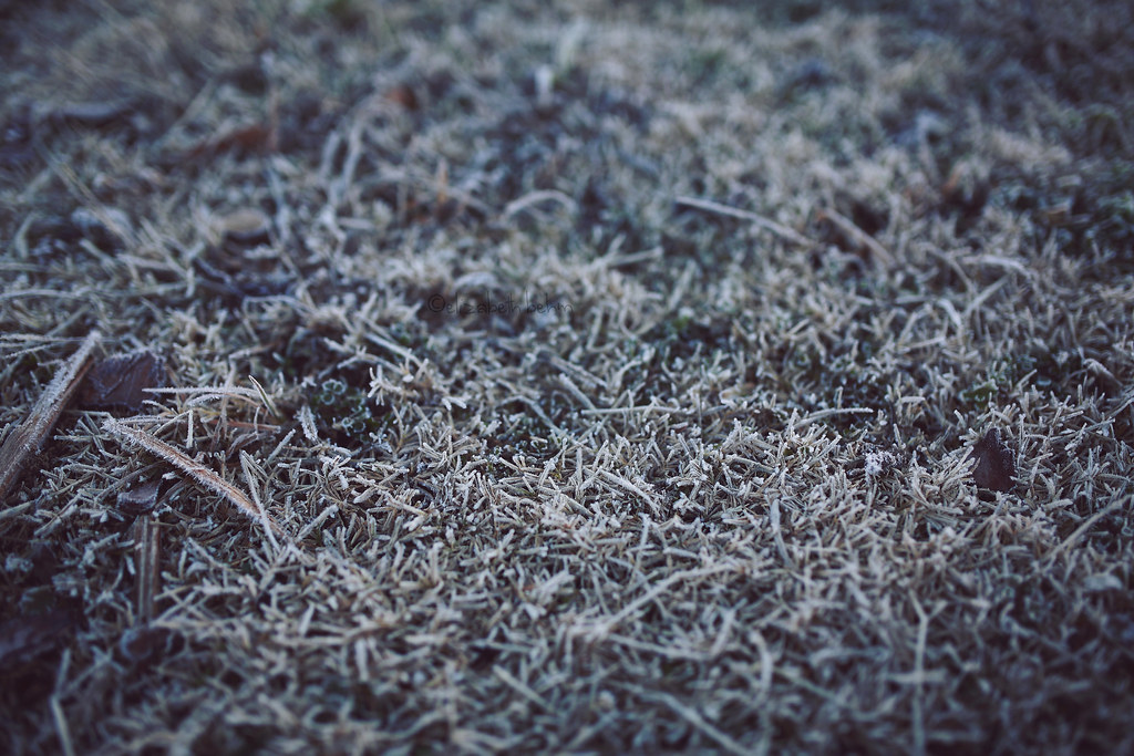 blog4