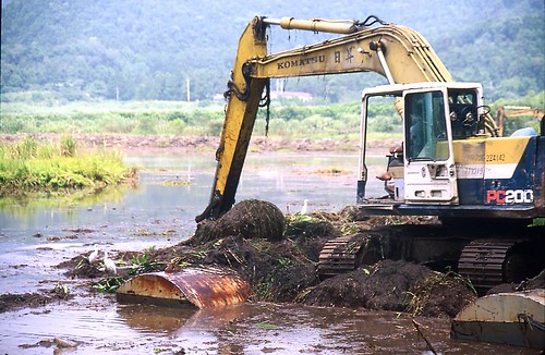 西元2000年前後原地主的開挖，造成雙連埤生態重大的傷害(圖片來源：陳德鴻攝)