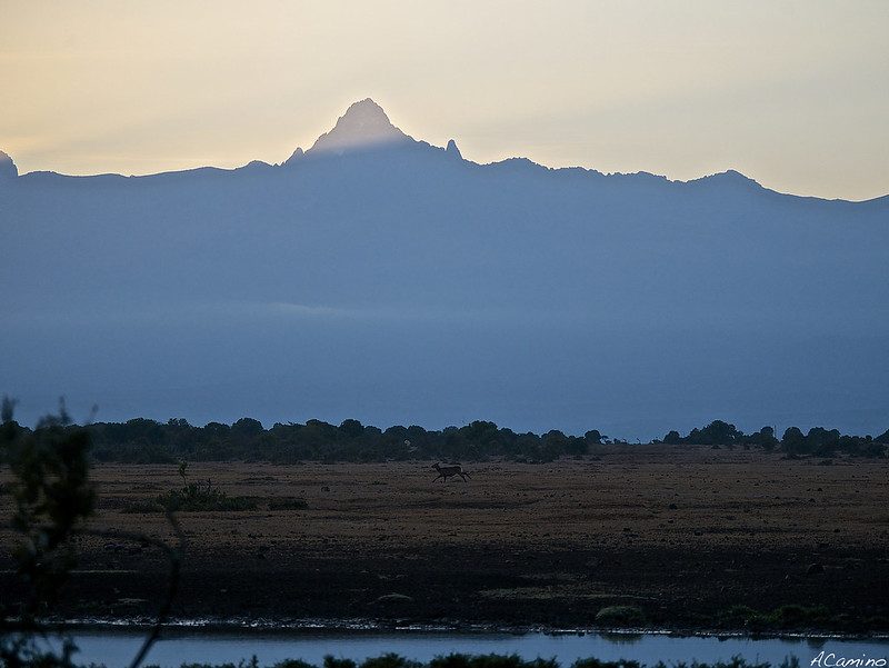 De Monte Kenia al Kilimanjaro. Un viaje agotador de 12 horas. - 12 días de Safari en Kenia: Jambo bwana (4)