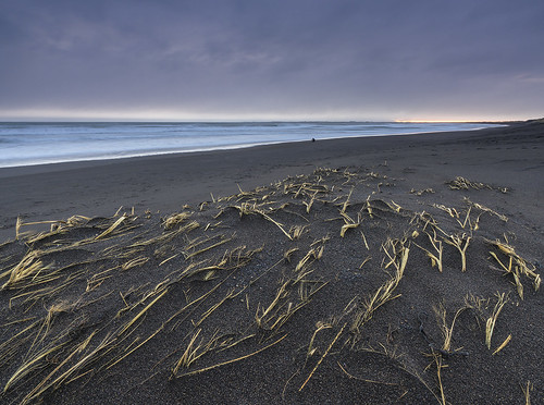 ocean sea seascape beach landscape blacksand coast iceland mood marramgrass lonefigure atlanic hafnarvik