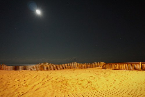 new beach garden photography seaside state nj atlantic coastal jersey ob heights lavallette ortley obnj