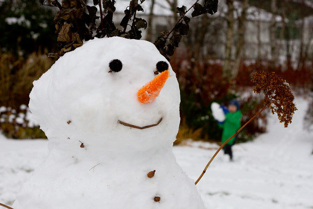 Snowmen November 21, 2014, Viimsi, Estonia