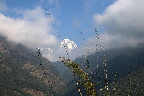 nepal mountains bamboo himalayas annapurnasouth poonhilltrek