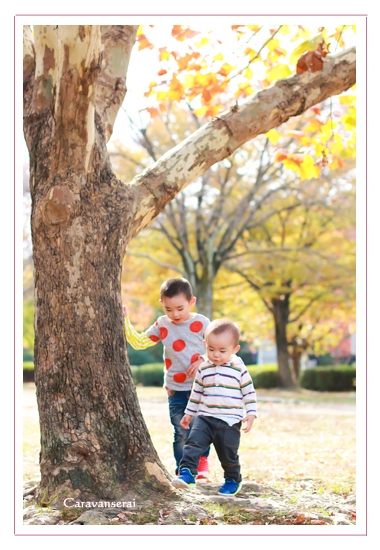 家族写真　子供写真　ファミリーフォト　自宅　小幡緑地公園　名古屋市守山区　自然　ナチュラル　