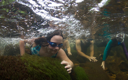 Young river adventurers enjoy a snorkeling experience in the Conasuaga River in southern Tennessee and Northwest Georgia.  The river plays host to nearly 70 species of fish and a dozen species of freshwater mussels.  (Photo courtesy of Dave Herasimtschuk © Freshwaters Illustrated)