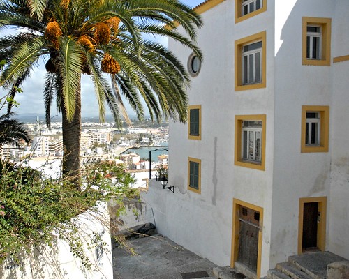 building tree stairs island spain nikon mediterranean cityscape apartment ibiza d200 eivissa isle harborview