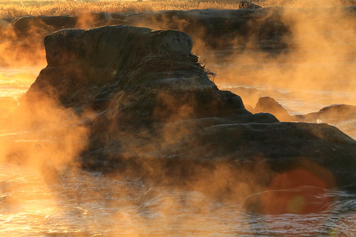 light mist fog sunrise river earlymorning 岩 多摩川 朝日 朝霧