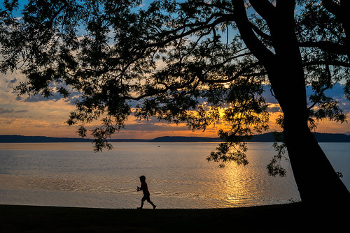sunset tree silhouette walking washington nikon child pugetsound steilacoom d610 sunnysidebeach