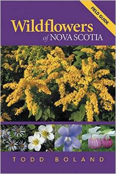 wildflowers of nova scotia
