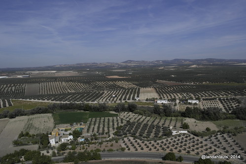 landscape religion cementerio edificio pueblo iglesia paisaje andalucia cordoba andalusia catolica andalusien historia templo mirador romana andalousie basa municipio andaluz catolico cristianismo sillar betica alandalus capitel almutamid caliza criptoportico iglesiadesanmateo iglesiachurch modillon monturque yacimientoarqueologico cisternaromana castillomedieval tariqibnziyad andaluciaislamica grancisterna conjuntoarqueologico parroquiadesanmateo museolocal castillomusulman ermitadelsantocristodelaveracruz monturqueño comarcadelacampiñasur monsurk hispaniaulterior patrimoniohistoricoandaluz montederoca montedetariq museohistoricolocal epocamusulmana castillodemonturque epocaomeya miradordelospaseillos tambordefuste construccionreligiosa lospaseillos