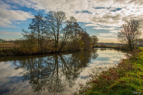 nature nikon eau europe belgique reflet thierry fleuve d600 tournai lescaut musette leaucourt
