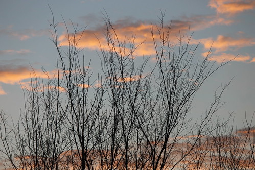 morning red clouds sunrise michigan redsky saline redmorning saline12292014