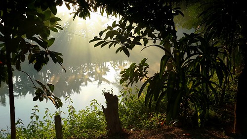 trees sun lake sunrise pond asia shadows burma myanmar rakhine mrauku