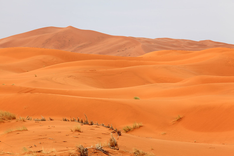 Sahara dunes