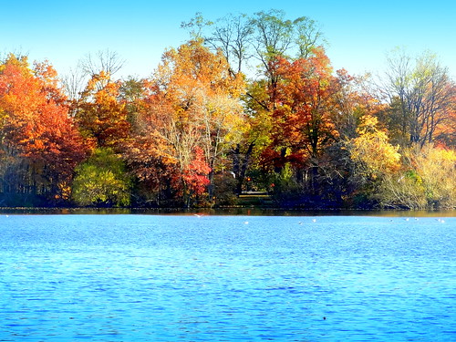 autumn newyork brooklyn image prospectpark dmitriyfomenko fall52014 fall42014