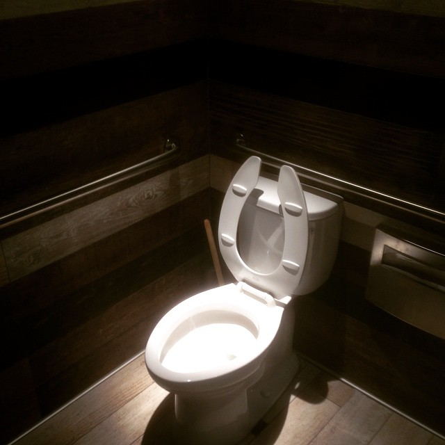 It's as if the toilet is bathed in a pool of heavenly light. #bathroomsoftheworld
