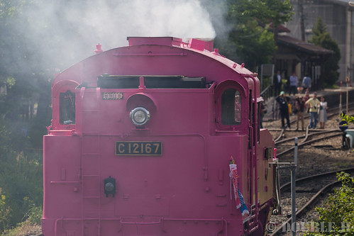 Pink SL at Wakasa Railway (50)