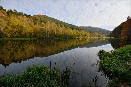autumn forest automne landscape nikon sigma alsace paysage reflexion reflets étangs d7100 foréts ex1020f456dchsm