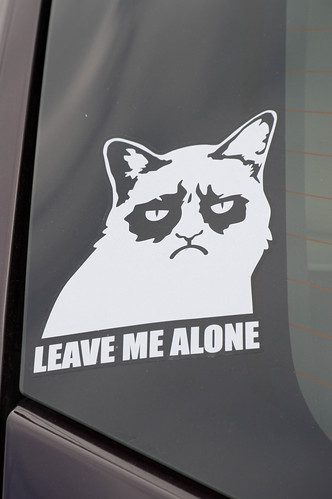 window cat sticker grump