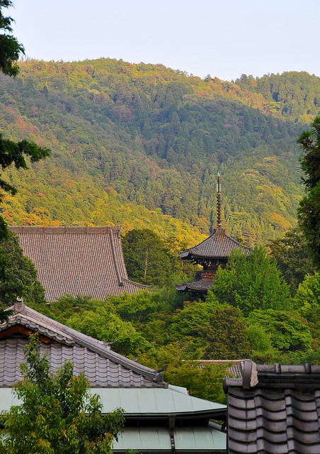 temple roofs and pagoda