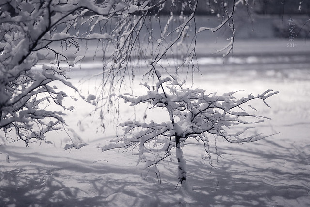 Winter2014-V2(01)