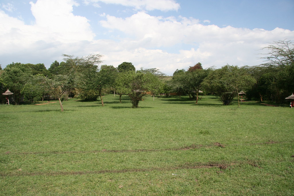 MEMORIAS DE KENIA 14 días de Safari - Blogs de Kenia - MASAI MARA III (2)