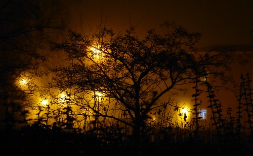mist silhouette misty fog night lights foggy