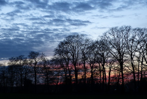 trees sunset sky zonsondergang bomen silhouettes lucht afterglow avondrood panasonicdmcfz150 1200053