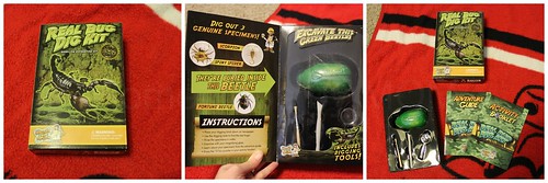 Discover with Dr. Cool Real Bug Dig Kit Review