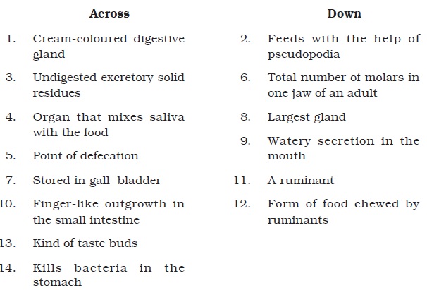 Class 7 Important Questions for Science - Nutrition in Animals (NCERT  Exemplar)
