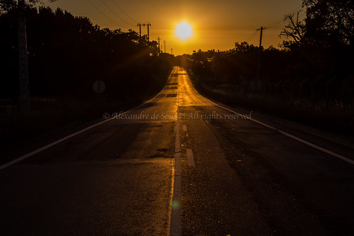 road sunset sun portugal landscape path setúbal alcochete