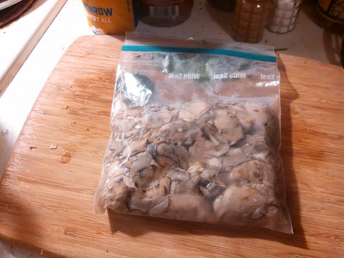 Bag of oysters