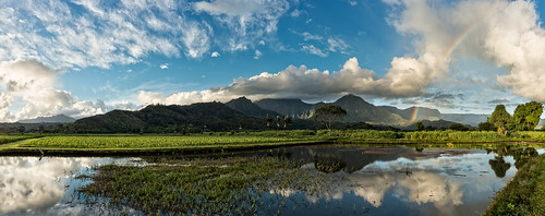 trees usa reflection tree composite clouds america island hawaii rainbow peace valley kauai northamerica hanalei hawaiianislands panoramicmerger pacificnorthwesttaro