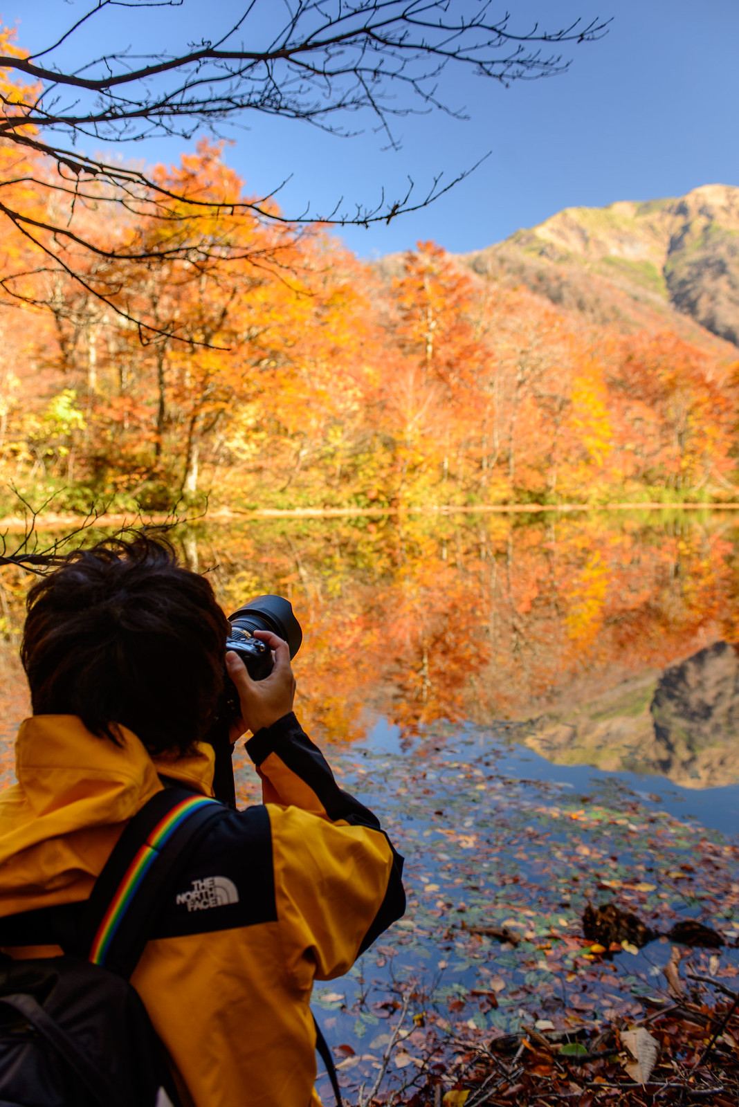 福井 刈込池で秋を撮る。