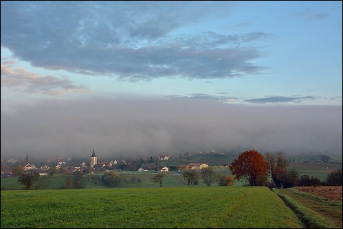 autumn mist automne landscape nikon contemporary sigma alsace paysages brouillard brume d7100 1770f284dcoshsmc