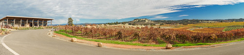 helwig winery panoramic