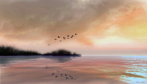 sky bird art classic water digital sunrise landscape duck artwork sarawak