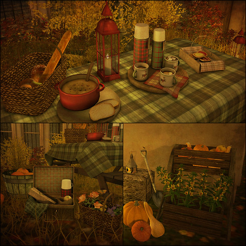 Harvest Picnic Collage1