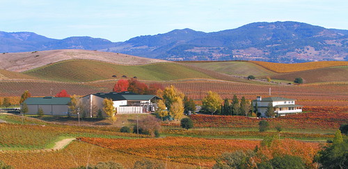 winecountry